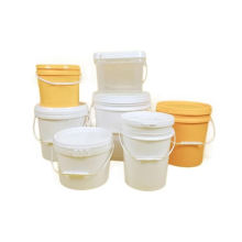 Professional Plastic Bucket Mould Manufacturer for Paint Pail Injection Mold